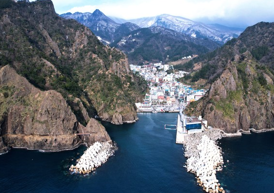 울릉도 도동항 관련 이미지