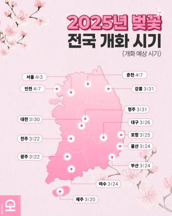 벚꽃 개화 실시간 확인 cctv_8