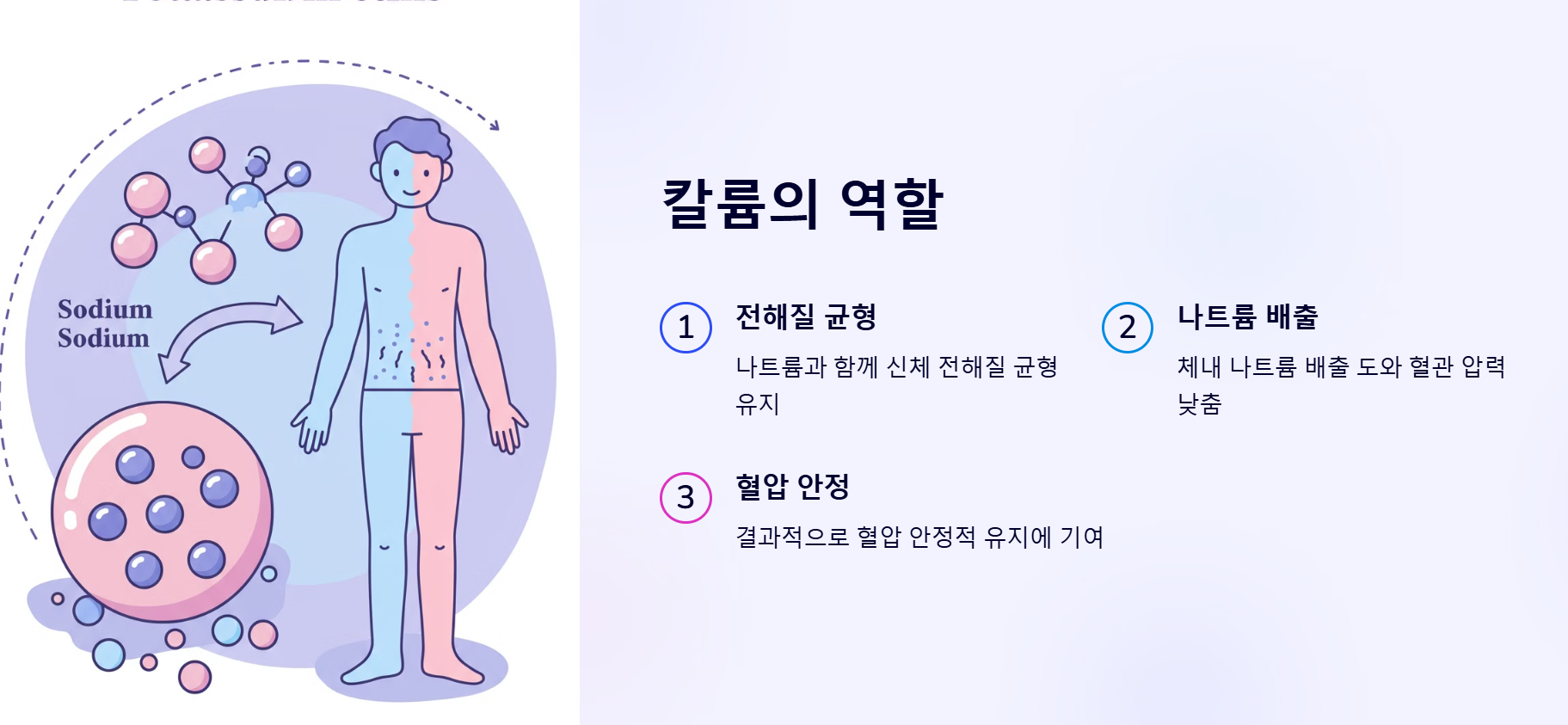 칼륨의 역할과 고혈압 예방
