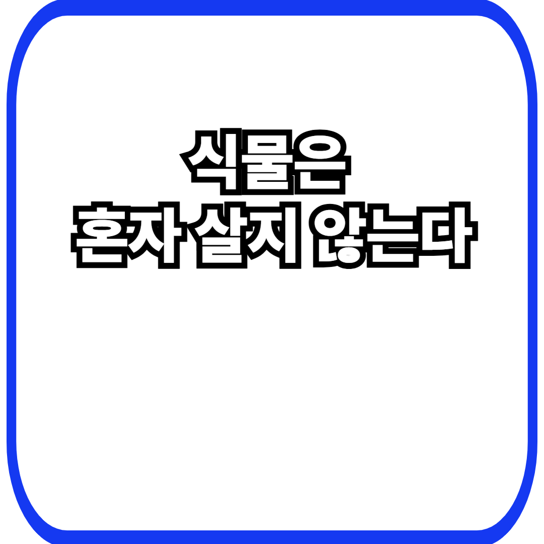 식물 협력 네트워크에서 시작되는 상호 지원, 보이지 않게 이어지는 생태계의 연대