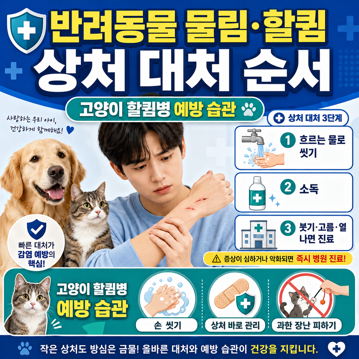 반려동물 물림 할큄 상처 대처 순서와 고양이 할큄병 예방 습관