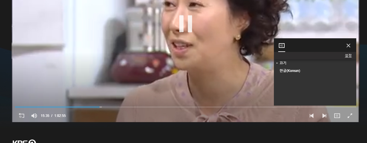 영상 플레이어의 한국어 자막 기능