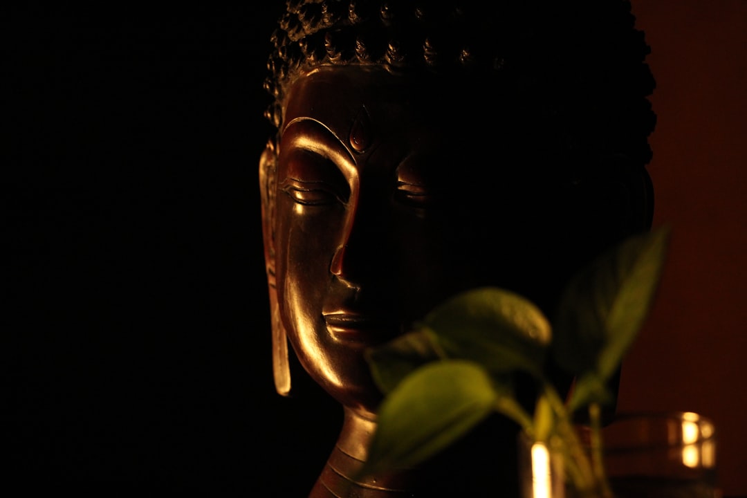 'Enlightenment'