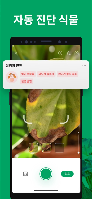 꽃 이름 검색, 꽃 이름 식별 앱
