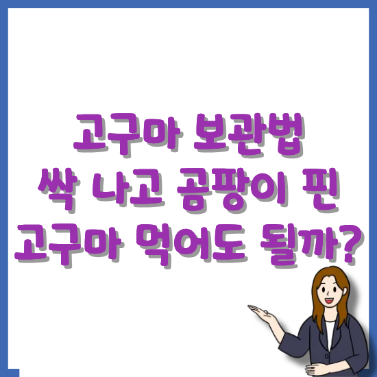 고구마-보관법-곰팡이-핀-고구마-썸네일