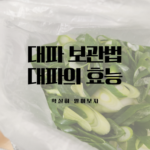 대파 보관법&#44; 대파 효능에 대해 확실히 알려드릴게요. 냉동보관법