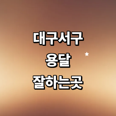 대구 서구 용달