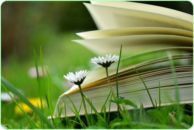 노벨문학상 한강 작품 수상작 ✅ 나이 아버지 채식주의자 고향 가족 ✅