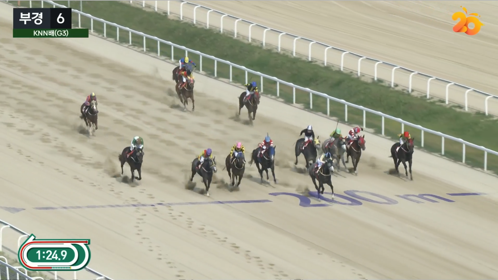 KNN배 대상경주 결승선 200미터 전 추입을 시도하는 경주마들