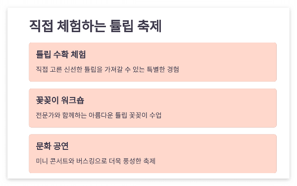 임자도 튤립축제