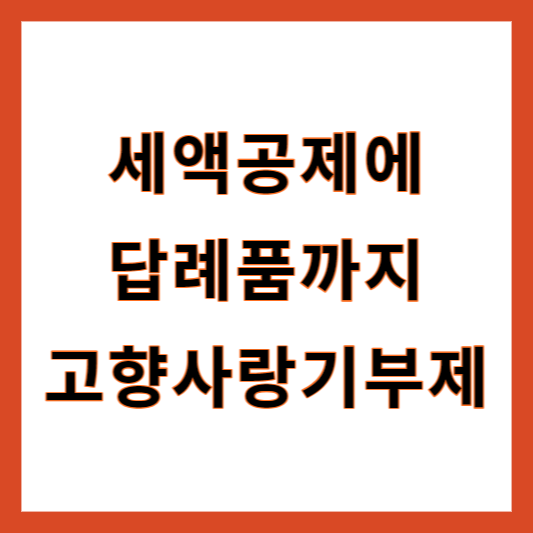 고향사랑기부제