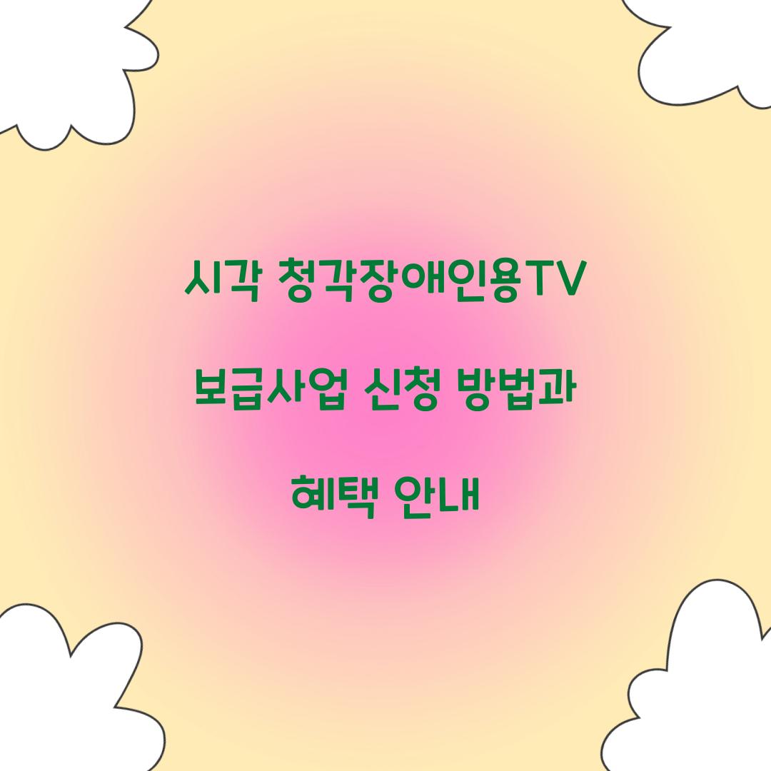 시각 청각장애인용TV 보급사업