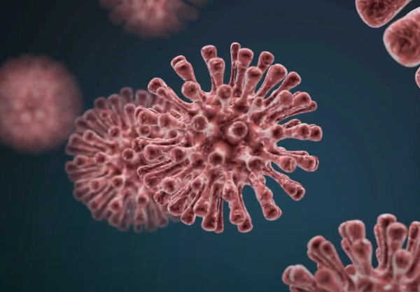 엠폭스 바이러스 격리