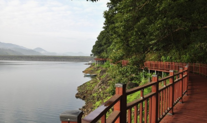 '100억송이' 가을꽃