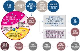 당뇨병