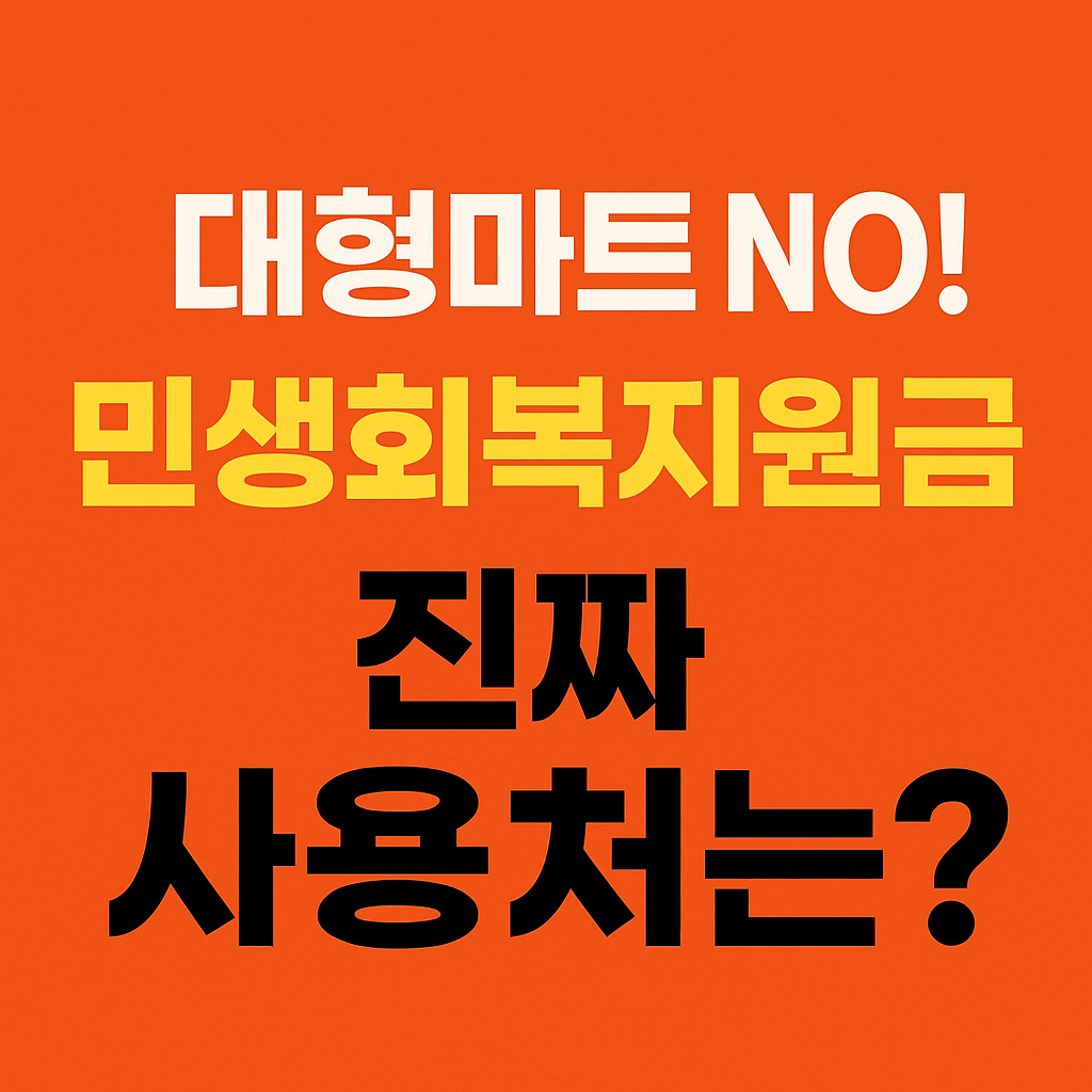 민생회복 지원금사용처