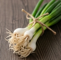 김장 쪽파 심는 시기