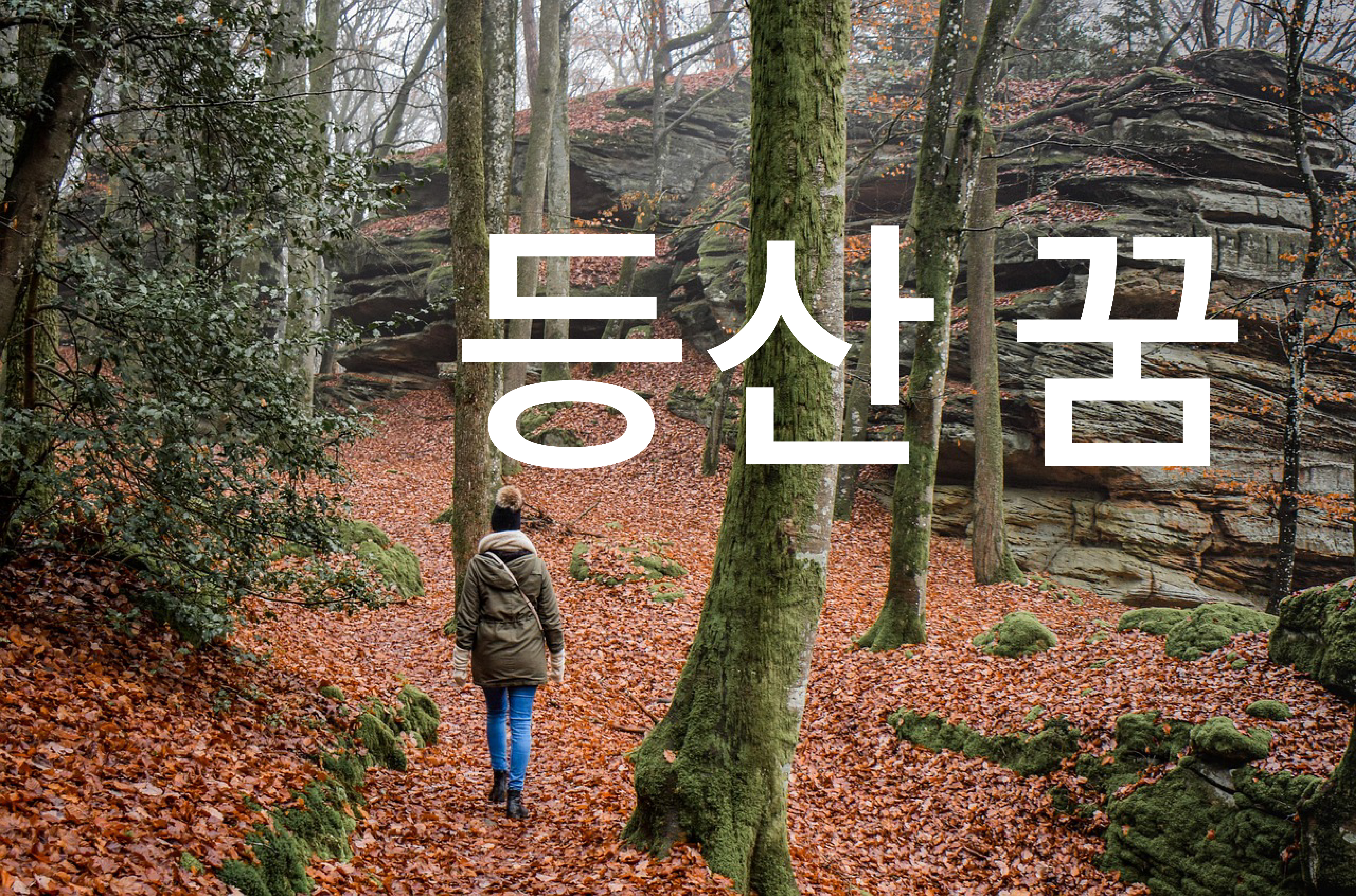 등산하는꿈해몽