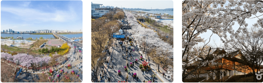 벚꽃이 아름다운 여행지 3