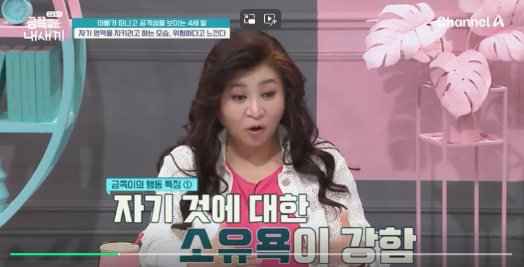 금쪽같은-내새끼-201회