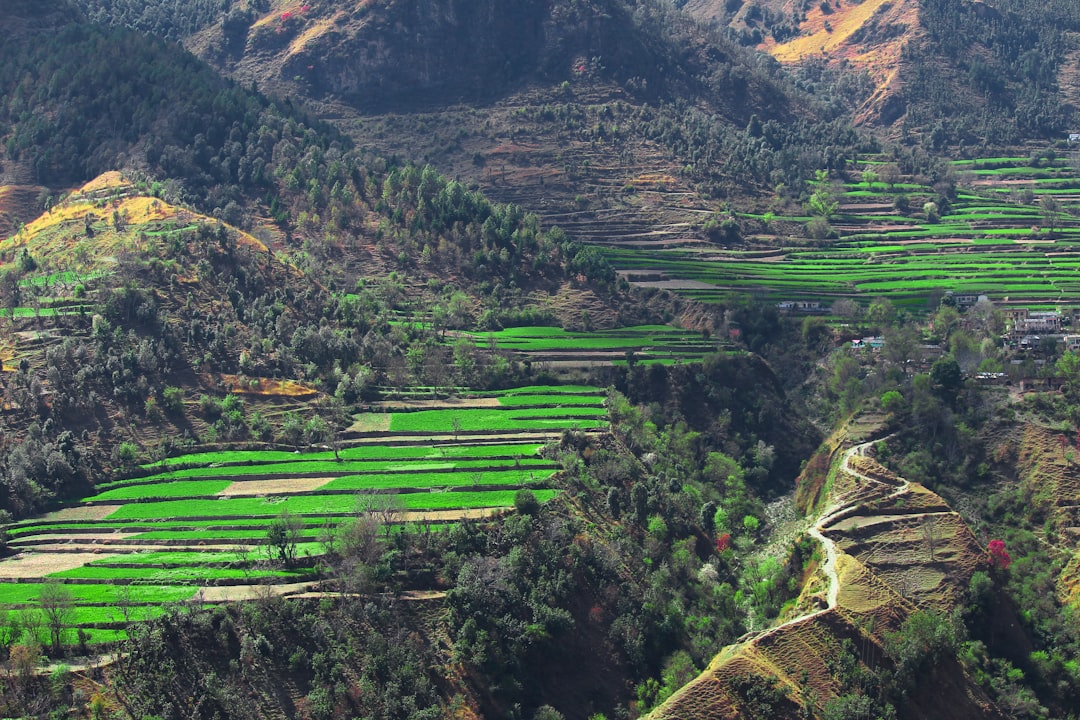 Land