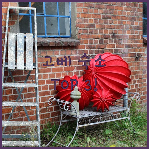 고베 숙소 추천 TOP 3 위치부터 ..