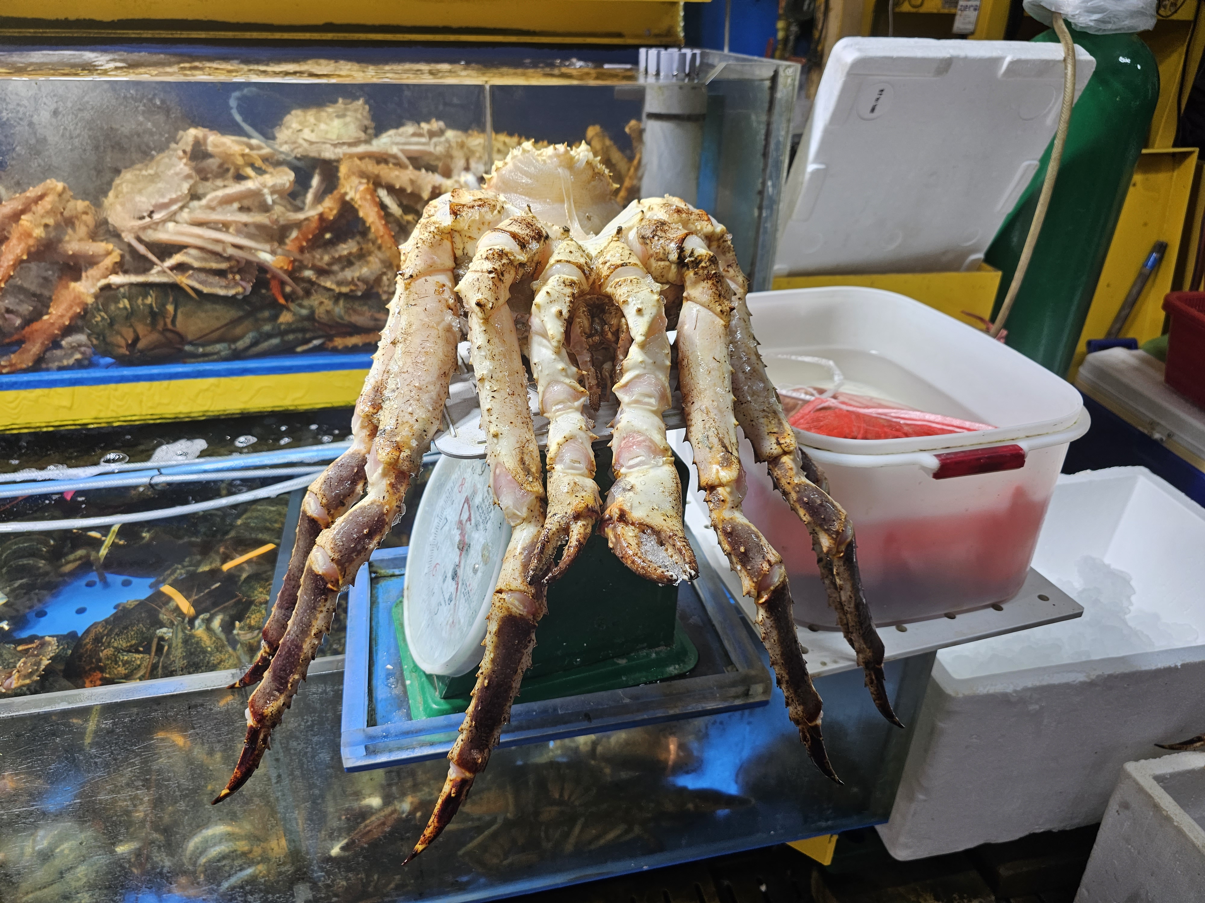 인천_연안부두_인천종합어시장_김씨상회_킹크랩