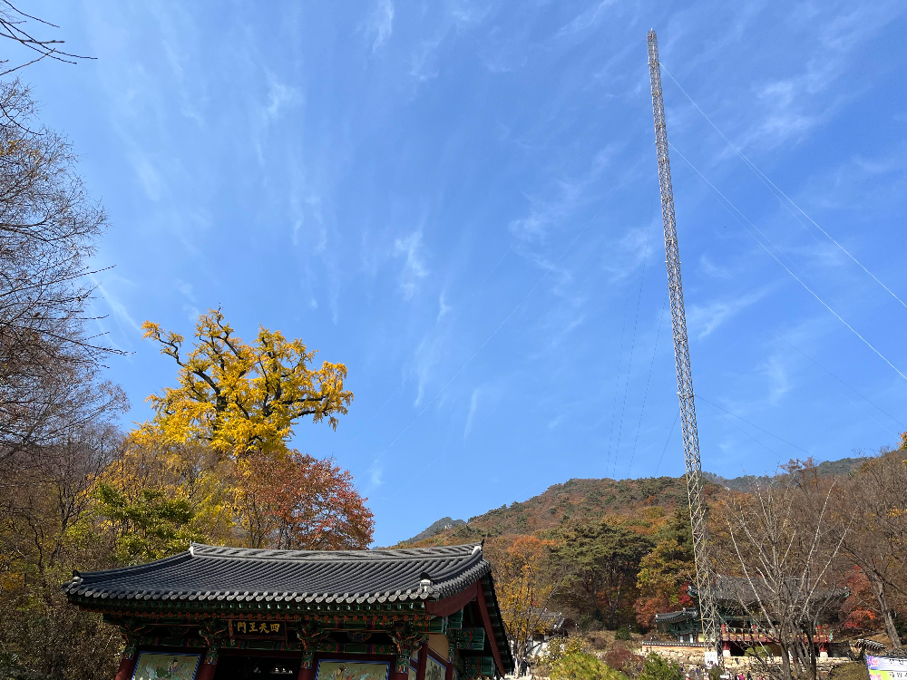 용문사 피뢰침