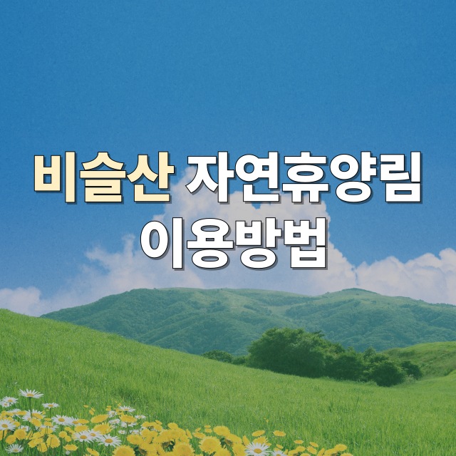 비슬산자연휴양림 예약, 주차, 숙소, 맛집 요약 후기