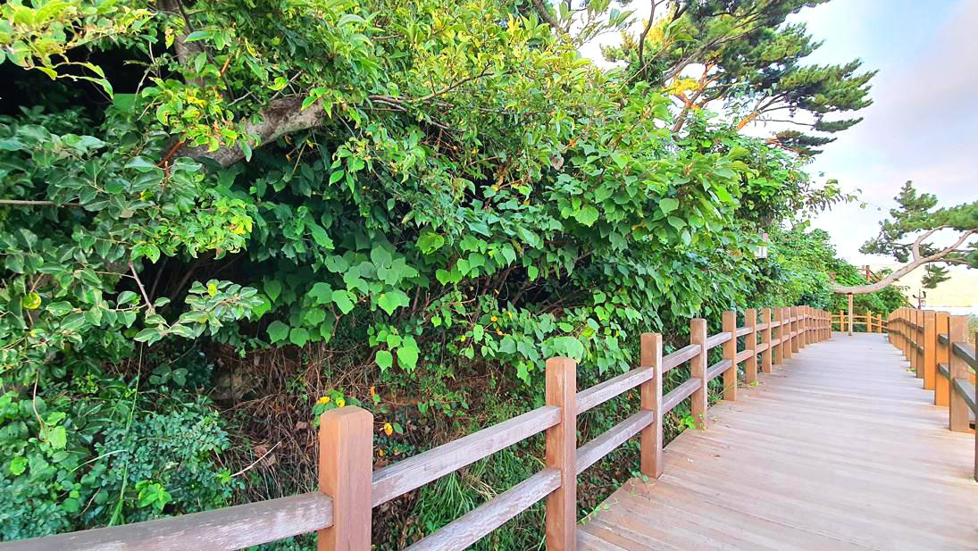 이순신공원