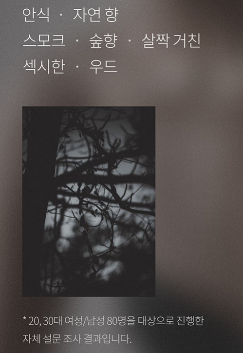 애인이랑 같이쓰는 중성향수 추천 TOP7