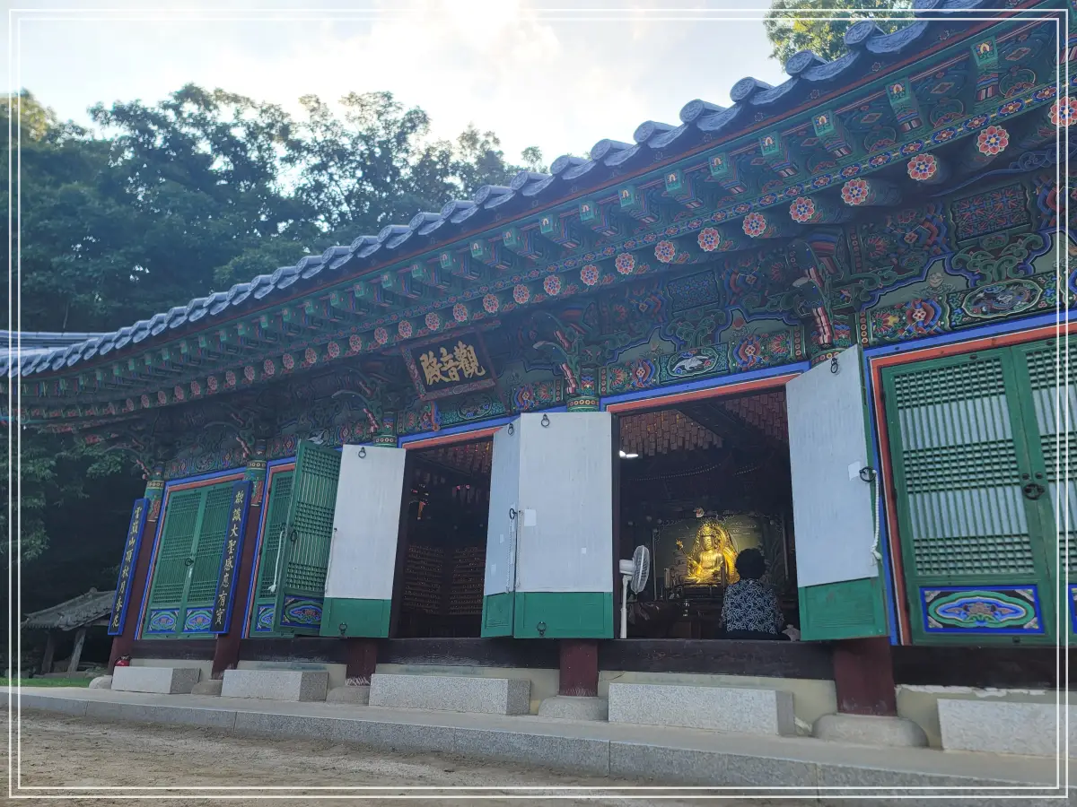 봉선사-연꽃축제-20250810_175035