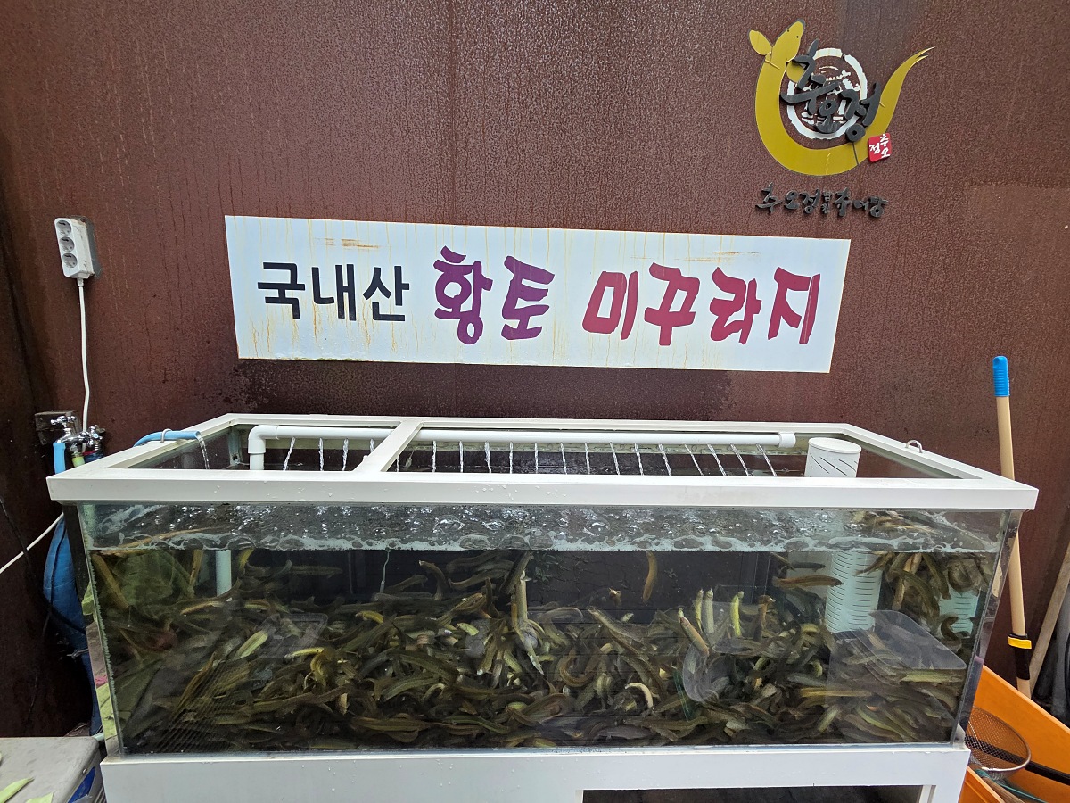 인천 검단 &amp;#39;추오정 남원추어탕&amp;#39;: 부모님&amp;#44; 아이랑 가기 좋은 맛집