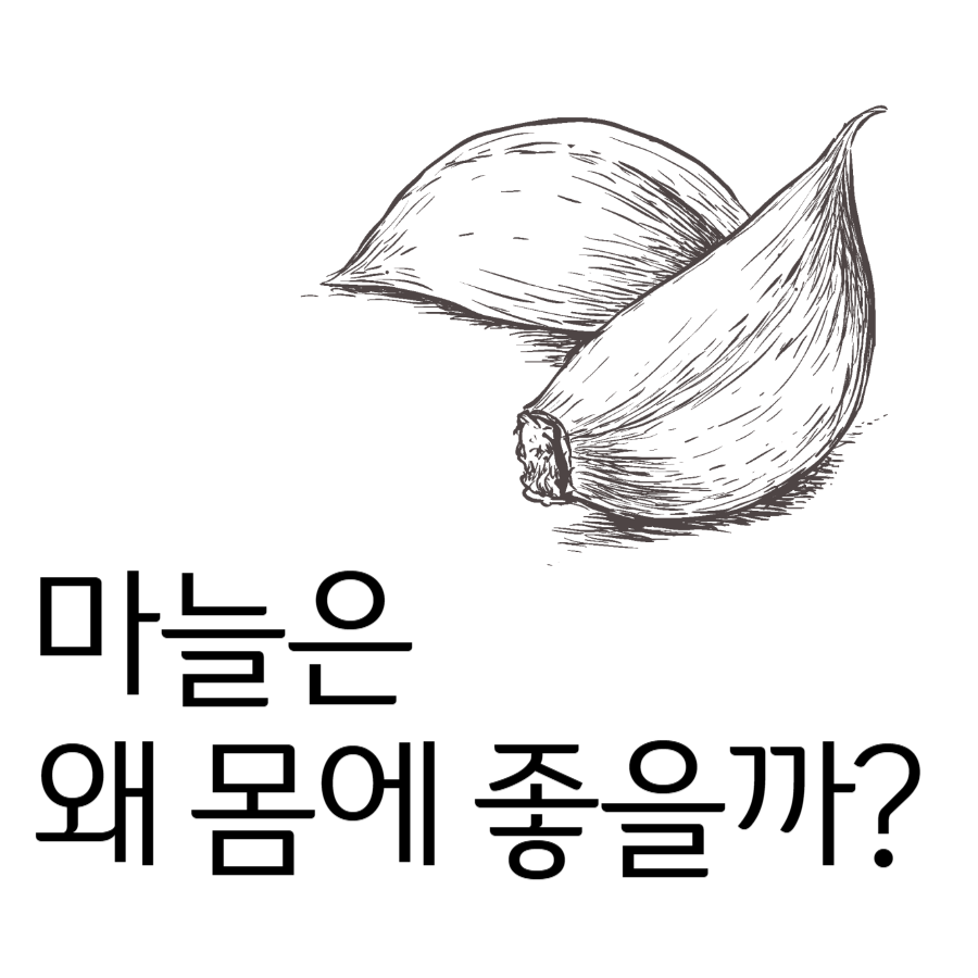 마늘건강