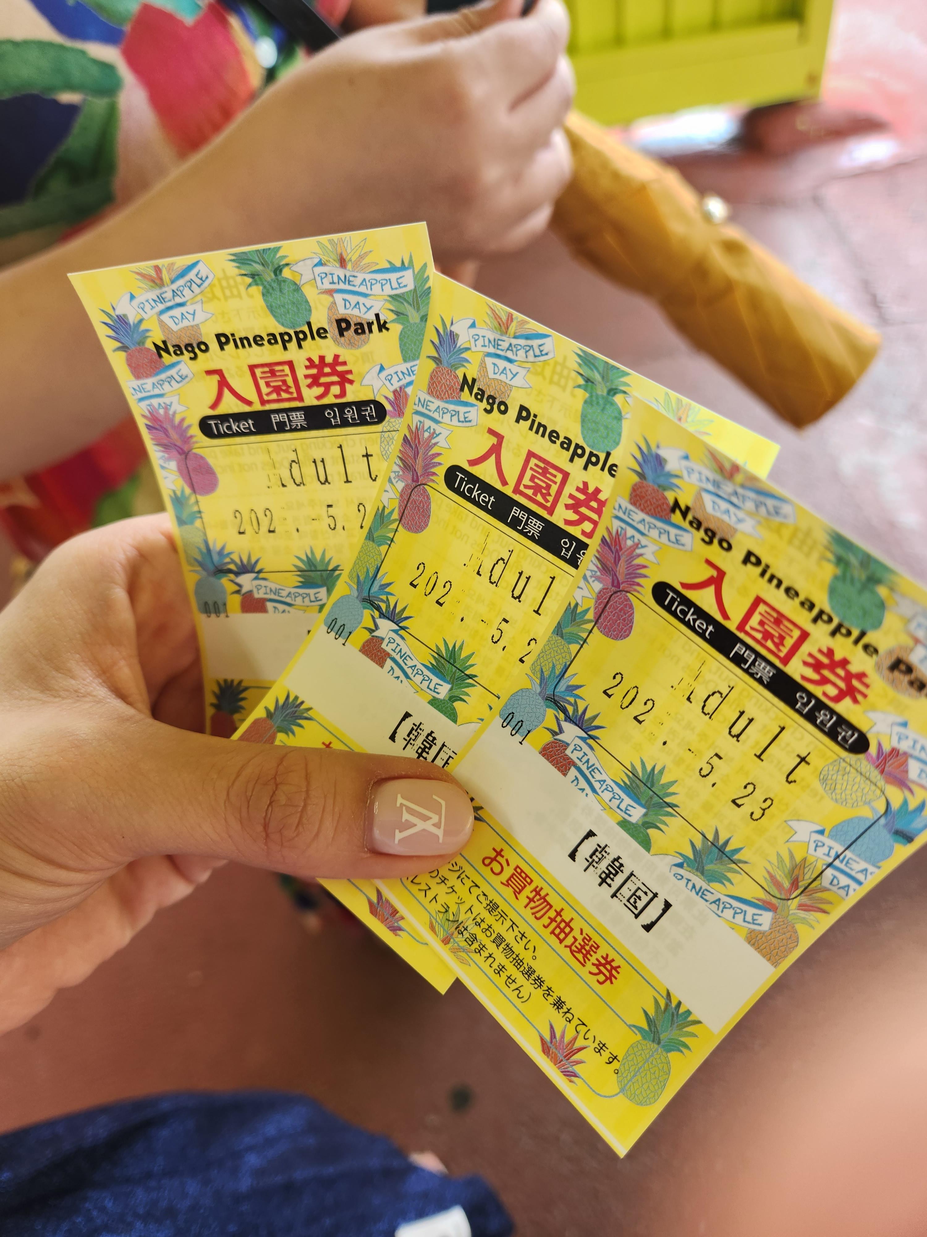 오키나와 나고 파인애플 파크
