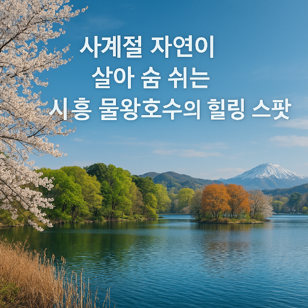 수도권 힐링 명소, 시흥 물왕호수의 사계절 매력