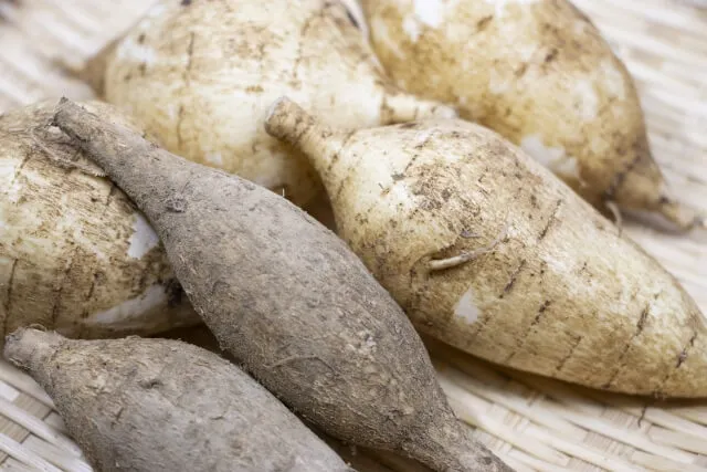 장 내용물 부피 늘리는 멕시고감자