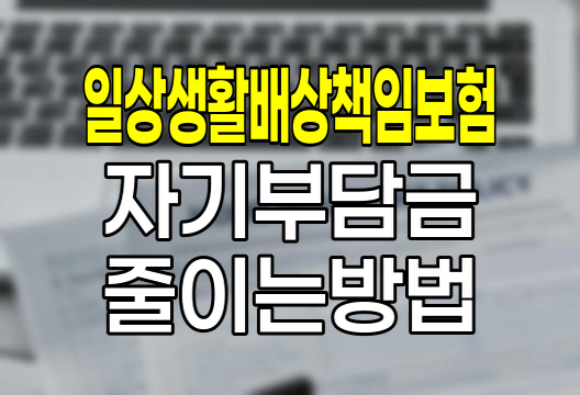 일상생활배상책임보험 자기부담금 줄이기, 중복 가입의 장점과 주의점