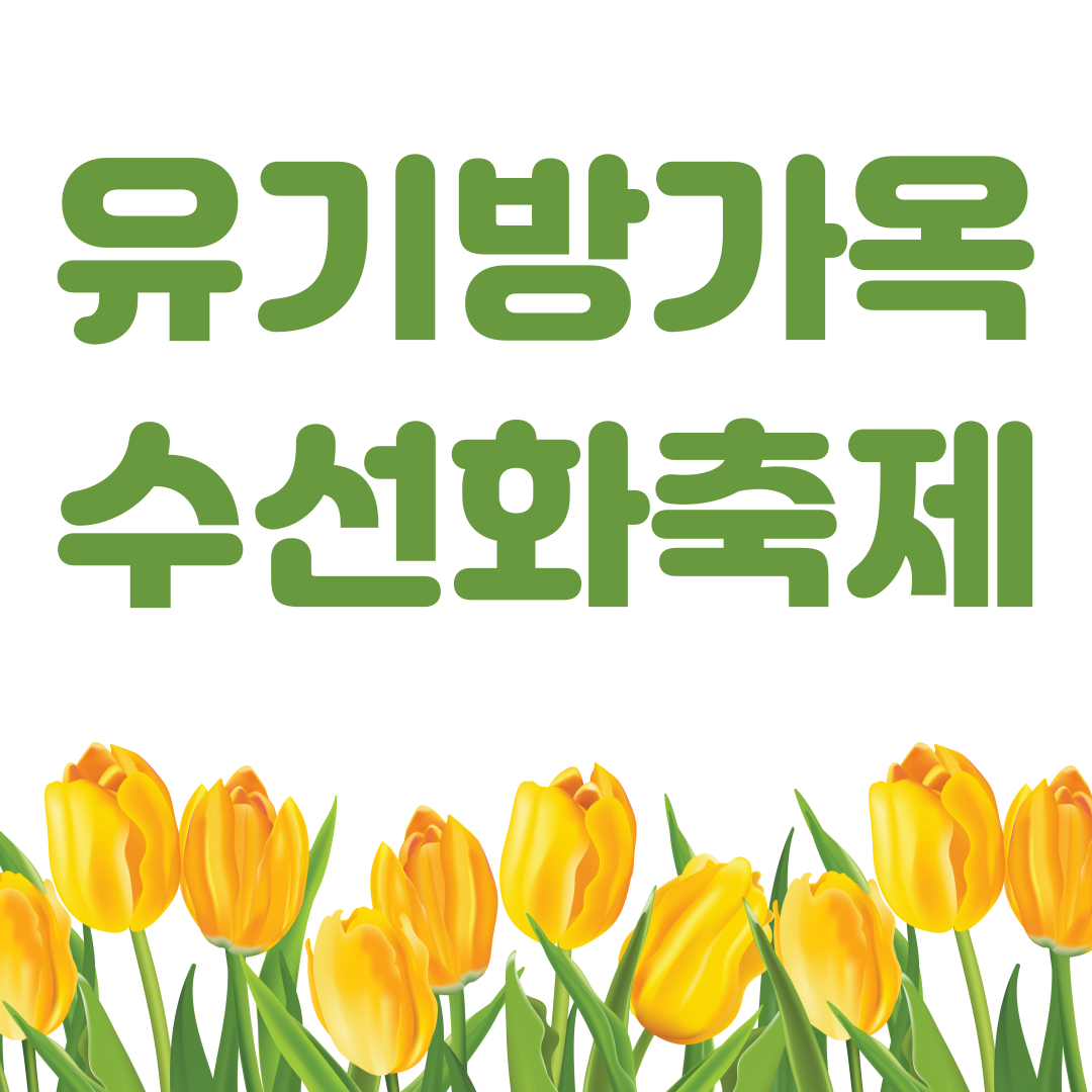 서산 유기방가옥 수선화 축제
