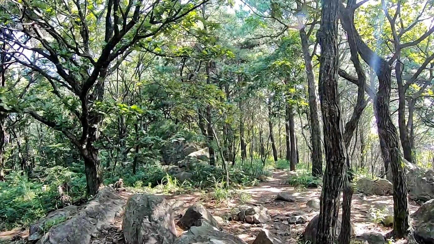 승학산