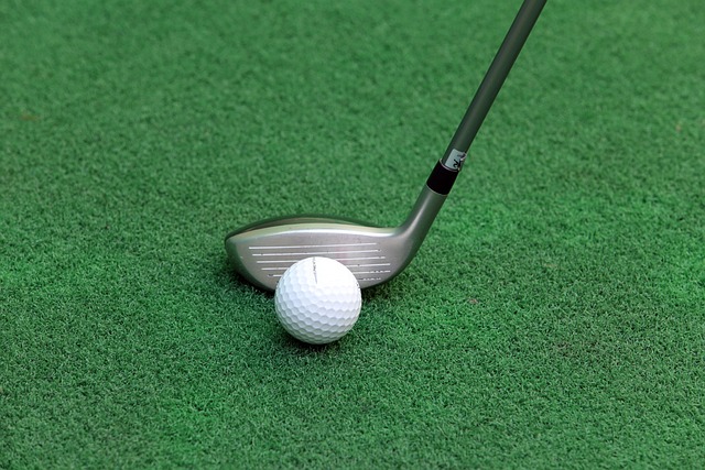 kpga 홈페이지 대회 일정