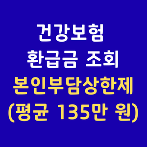 본인부담상한제환급금조회 국민건강보험환급금 병원비돌려받기 의료비환급신청 건강보험공단환급금