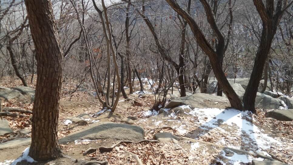 100대 명산 등산하기 열네번째 강화도 마니산 우리 민족의 뿌리 신화와 국가 제례의 중심지 역할을 해온 역사·문화의 산