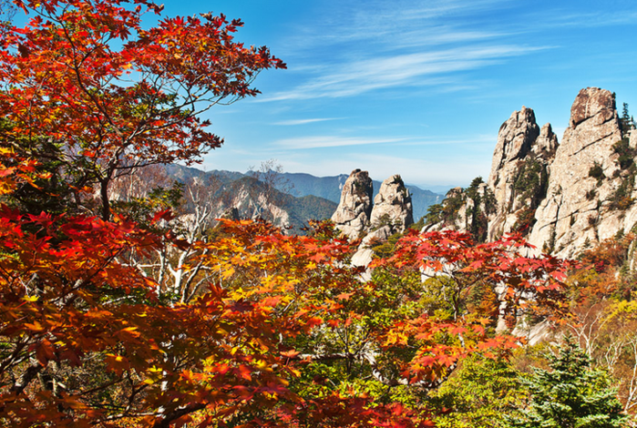 2020 단풍시기 명소