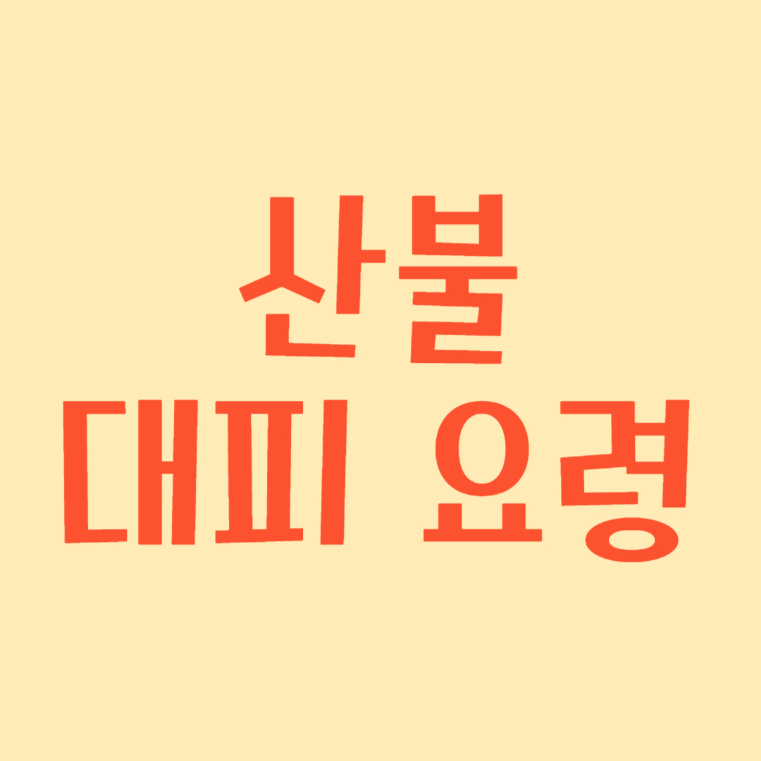 산불 대피 요령