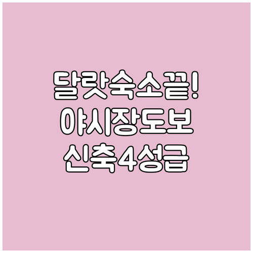 달랏 여행 숙소 고민 해결 야시장 도..