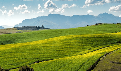2024년 기본형 공익직불금 신청방법을 알고 싶어하는 신청자격이 되는 농민과 관련된 농지 사진