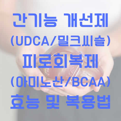 간기능 개선제 대표 사진