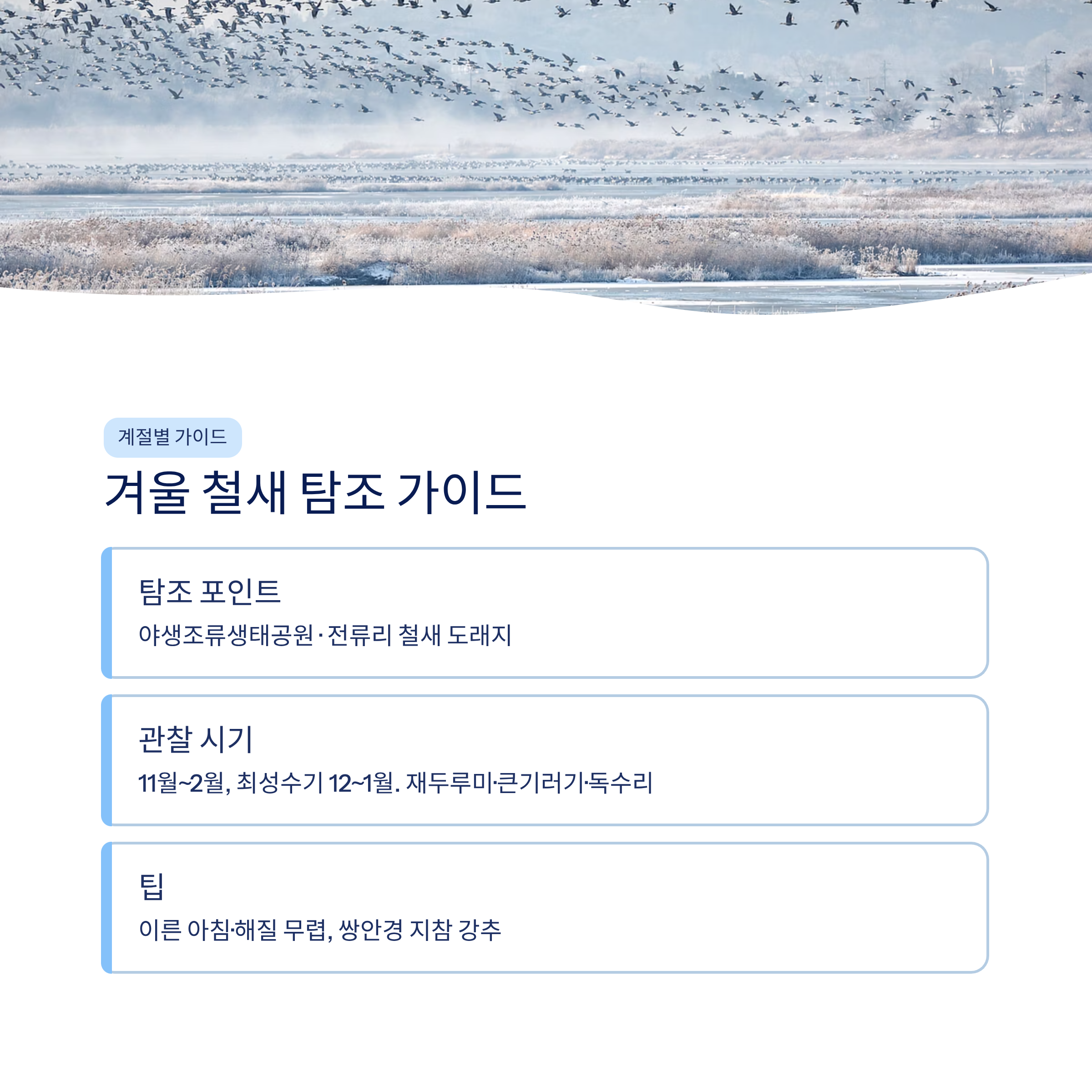 김포 근교 산책 달리기 트레킹 코스 추천 ❘ 한강 하구와 평야가 만드는 서울 옆 힐링 루트