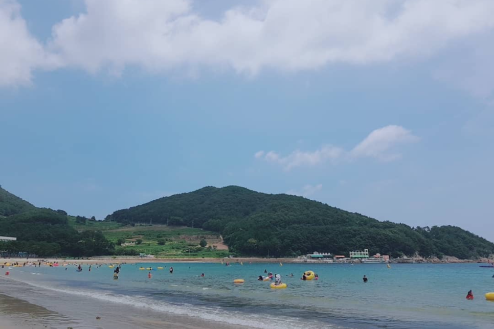 국내 해수욕장 개장일